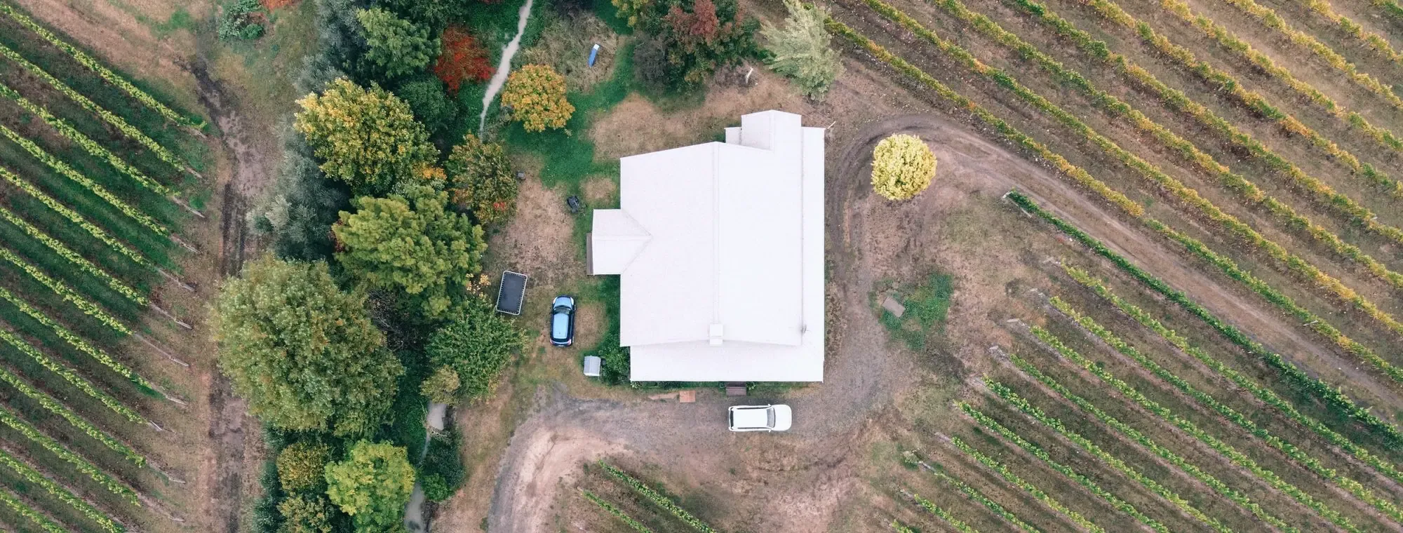 Bodega vista desde el aire, rodeada de hileras de viñedo